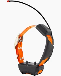 Grimes Family Fundraiser